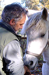 Peter Mohr