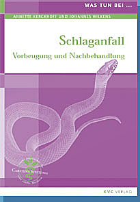 Annette Kerckhoff / Johannes Wilkens: Was tun bei Schlaganfall