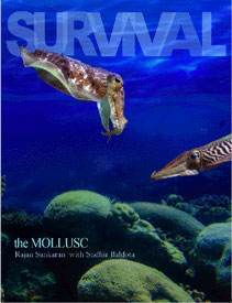 Rajan Sankaran: Survival - the Mollusc