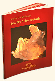 Angela von Büdingen: Schüßler-Salze poetisch