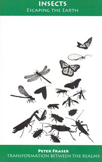 Peter Fraser: Insects - Escaping the Earth