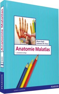 Wynn Kapit / Lawrence M. Elson: Anatomie Malatlas