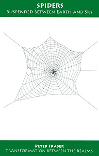Peter Fraser: Spiders - Suspended between Earth and Sky