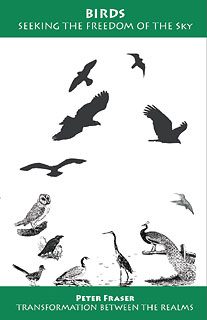 Peter Fraser: Birds, Seeking the Freedom of the Sky