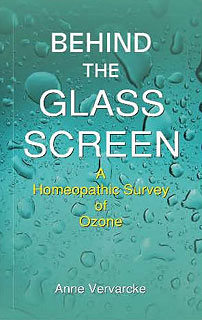 Anne Vervarcke: Behind the Glass Screen