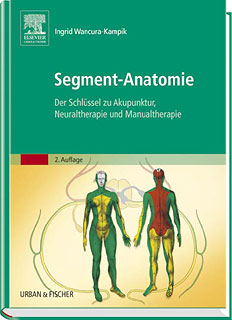 Ingrid Wancura-Kampik: Segment-Anatomie