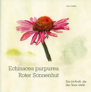 Doris Müller: Echinacea purpurea - Roter Sonnenhut