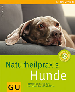 Petra Stein: Naturheilpraxis Hunde