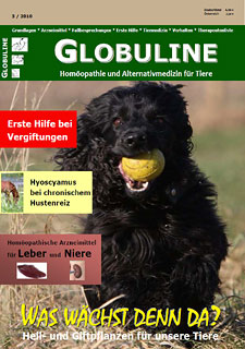 Zeitschrift: Globuline 3/2010 - Was wächst denn da?