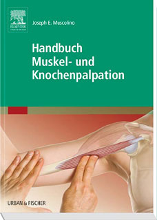 Joseph E. Muscolino: Handbuch Muskel- und Knochenpalpation