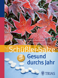 Thomas Feichtinger / Susana Niedan-Feichtinger: Schüßler-Salze: Gesund durchs Jahr