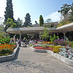 kurhaus