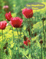 Our Magnificent Plants / Rupal Desai