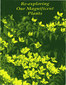 Re-exploring Our Magnificent Plants / Rupal Desai