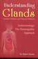 Understanding Glands / Rajeev Saxena Understanding Glands / Rajeev Saxena