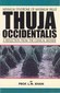 Thuja occidentalis / L.M. Khan Thuja occidentalis / L.M. Khan