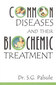 Common Diseases and their Biochemic Treatment / S.G. Palsule