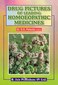 Drug Pictures of leading Homoeopathic Medicines / S.G. Palsule