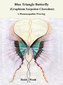 Blue Triangle Butterfly / Heidi Wedd