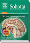 Sobotta, Spielend durch die Anatomie mit StudentConsult-Zugang / Peter Posel