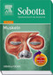 Sobotta, Spielend durch die Anatomie mit StudentConsult-Zugang / Peter Posel