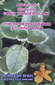 Advanced Study on God's Wonder Plant / Hitesh Shah