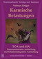 Andreas Krüger: Karmische Belastungen - TOA und SIA - Traumaorientierte Aufstellung und Schattenintegrative Aufstellung - 2 CD's