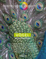 Spektrum der Homöopathie 2010-3, VÖGEL /  Narayana Verlag
