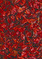 Berberitzen 200 g / Naturhaus Berberitzen 200 g / Naturhaus