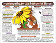 Homeopathy to the Rescue for Horses chart/poster / Lorelei Whitney