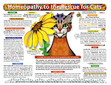 Homeopathy to the Rescue for Cats chart/poster / Lorelei Whitney