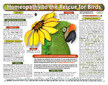 Homeopathy to the Rescue for Birds chart/poster / Lorelei Whitney