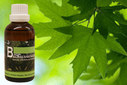 Baum Essenz - 1. Ahorn - Kraft der Fülle - 50 ml / Harald Knauss Baum Essenz - 1. Ahorn - Kraft der Fülle - 50 ml / Harald Knauss