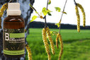 Baum Essenz - 3. Birke - Kraft der Leichtigkeit - 50 ml / Harald Knauss Baum Essenz - 3. Birke - Kraft der Leichtigkeit - 50 ml / Harald Knauss