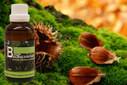 Baum Essenz - 5. Buche - Kraft der Mehrung - 50 ml / Harald Knauss Baum Essenz - 5. Buche - Kraft der Mehrung - 50 ml / Harald Knauss