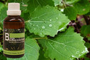 Baum Essenz - 9. Erle - Kraft der Imagination - 50 ml / Harald Knauss Baum Essenz - 9. Erle - Kraft der Imagination - 50 ml / Harald Knauss