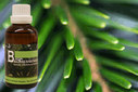 Baum Essenz - 12. Fichte - Kraft der Erneuerung  - 50 ml / Harald Knauss