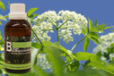 Baum Essenz - 16. Holunder - Kraft der Seele - 50 ml / Harald Knauss Baum Essenz - 16. Holunder - Kraft der Seele - 50 ml / Harald Knauss