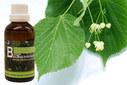 Baum Essenz - 18. Linde - Kraft des Heilseins - 50 ml / Harald Knauss Baum Essenz - 18. Linde - Kraft des Heilseins - 50 ml / Harald Knauss
