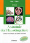 Anatomie der Haussäugetiere