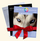 Narayana Verlag: Spectrum of Homeopathy - Subscription 2012
