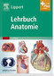 Lehrbuch Anatomie / Herbert Lippert