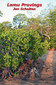 Lamu Provings / Jan Scholten