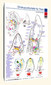 Ohrakupunkturtafel für Tiere / Carola Krokowski