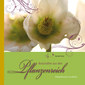 Pflanzenmeditation / Sandra Kunz Pflanzenmeditation / Sandra Kunz