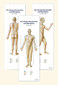 Akupunktur-Poster-Set / Bernhard C. Kolster