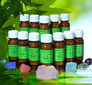Edelstein Set  / Homeoplant