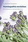 Homöopathie verstehen - Mängelexemplar / Hans-Martin Steingassner Homöopathie verstehen - Mängelexemplar / Hans-Martin Steingassner