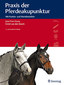 Praxis der Pferdeakupunktur / Jean-Yves Guray / Emiel van den Bosch