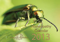 Homeopathy Calendar 2013 REDUCED PRICE / Narayana Verlag